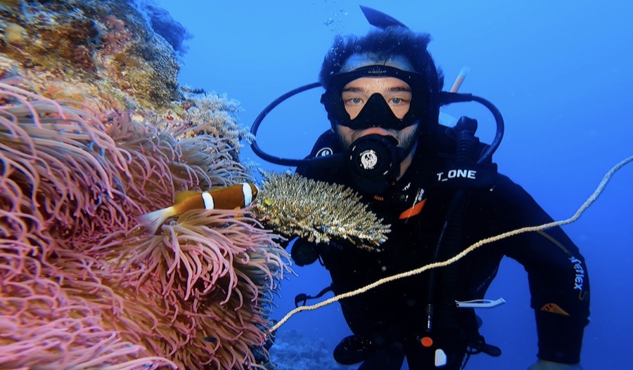 Diving the Great Barrier Reef